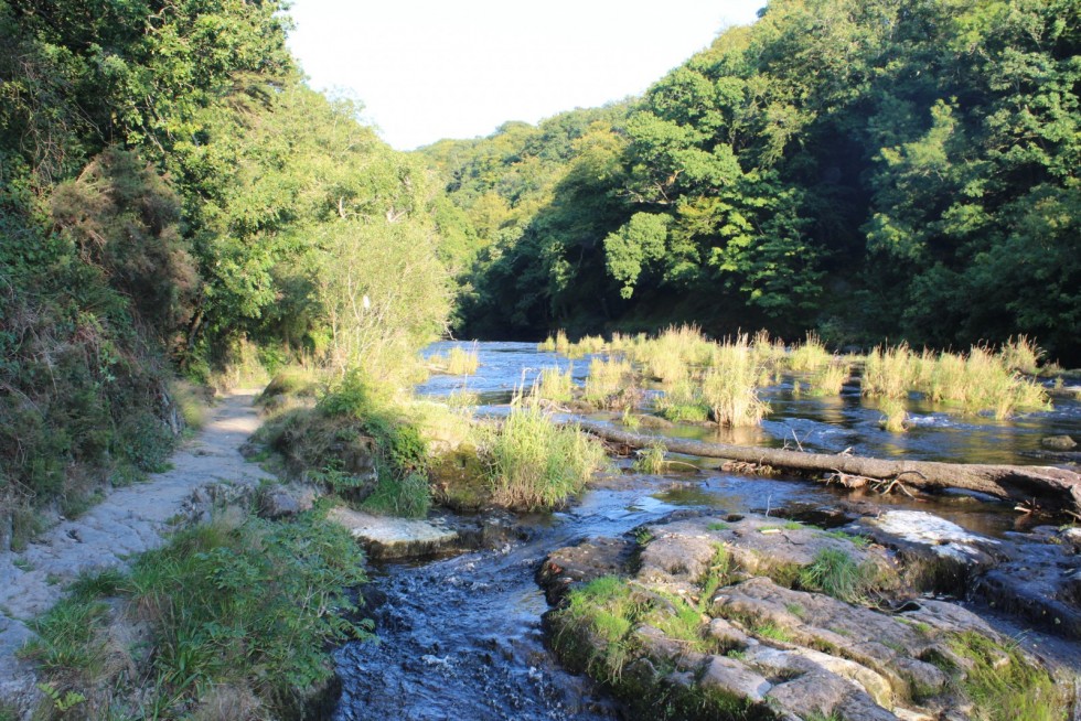 Morlogws-Farm-Holidays-Cenarth-Falls-I0