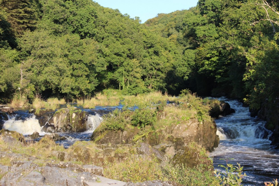 Morlogws-Farm-Holidays-Cenarth-Falls-I2