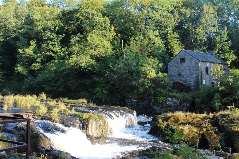 Morlogws-Farm-Holidays-Cenarth-Falls-I5