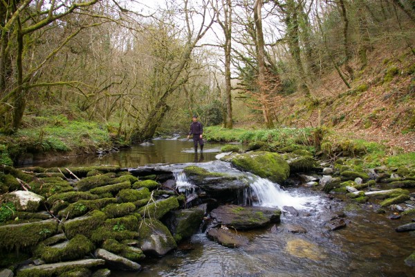 Morlogws-Farm-Holidays_Nature_Walk