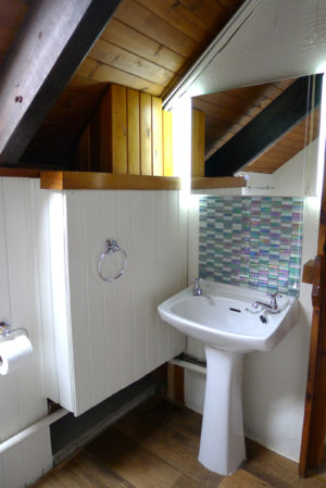 Morlogws Carthouse Cottage Bathroom