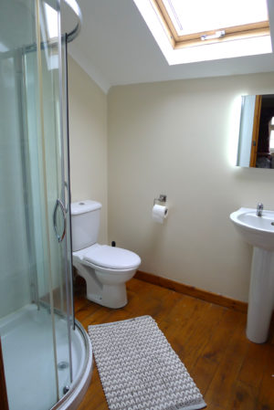 Morlogws Carthouse Cottage Bathroom