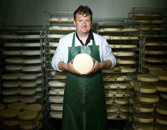 caws-cenarth-cheese